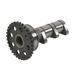CAMSHAFT INTAKE HOT CAMS 4286-1IN