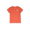 Dámské triko Devold KR Classic Summit tee coral