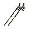 Skládací hole Fizan NordicWalking Lite 4 26 beige