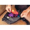 Ledvinka Gregory Nano Waistpack 2.0 UNI