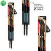 Skládací hole Fizan NordicWalking Lite 26 blue