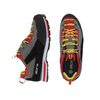 Boty Alpina Royal red-grey