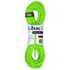 Lano Beal Virus 10 mm 60 m solid green