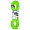 Lano Beal Virus 10 mm 60 m solid green