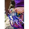 Dámský sedák Petzl Corax LT lilac white