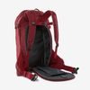 Batoh Patagonia SnowDrifter 30L WAX