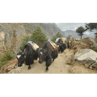 Spouštíme nový web cestovky