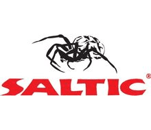 Saltic