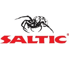 Saltic