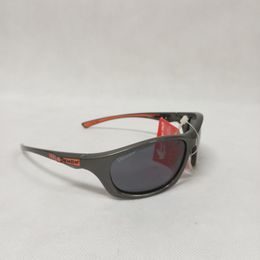 Brýle Demon SI Light Polarizační šedé