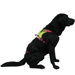 Prsní úvazek pracovní Singing Rock RL Chest