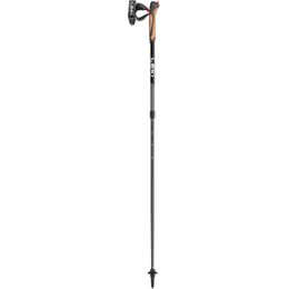 Skládací hole Leki NordicWalking Spin, black-silvergray-white