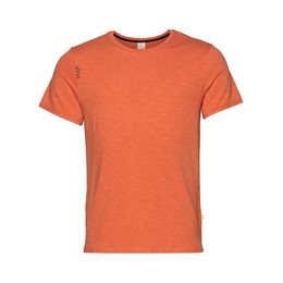 Pánská bavlněná mikina Chillaz Sapporo Mountain Logo Hoody ochre
