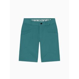 Kraťasy Looking for Wild Cilaos teal