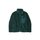 Dámská mikina Patagonia Classic Retro-X CASG