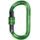 Karabina Camp Oval XL Lock green