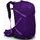 Batoh Osprey Sportlite 25 aubergine purple