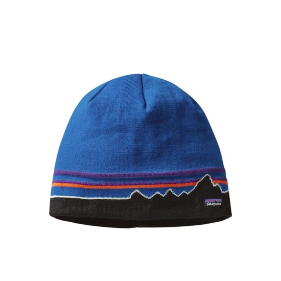 Čepice Patagonia Beanie Hat Uni CZAB