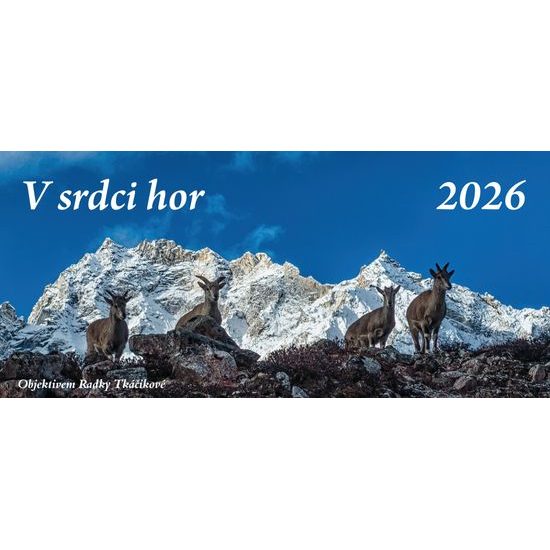 Kalendář 2026 stolní měsíční RT