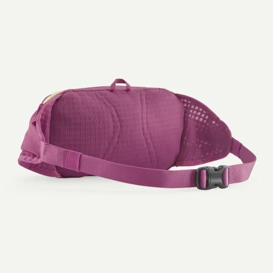 Ledvinka Patagonia Terravia Hip Pack FDMG
