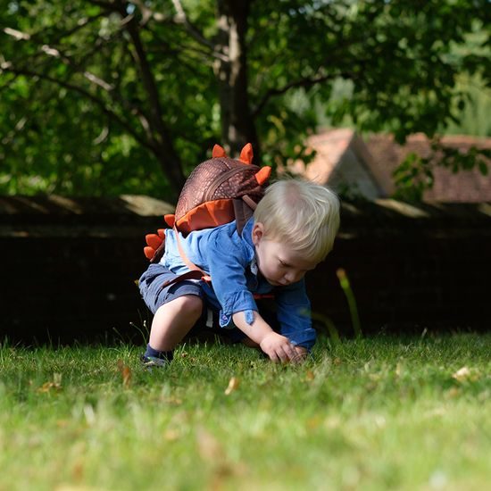 Dětský batůžek Animal Toddler dinosaurus