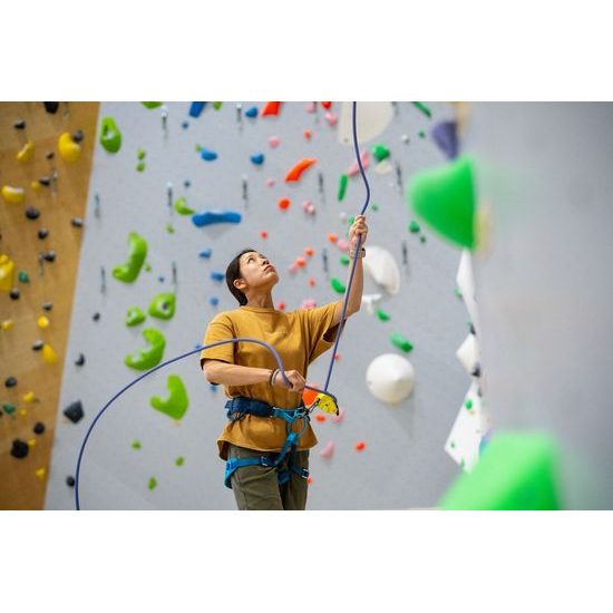 Jistící brzda Petzl GRIGRI+ zelená