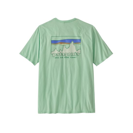 Pánské triko Patagonia KR 73 Skyline Organic RNSG