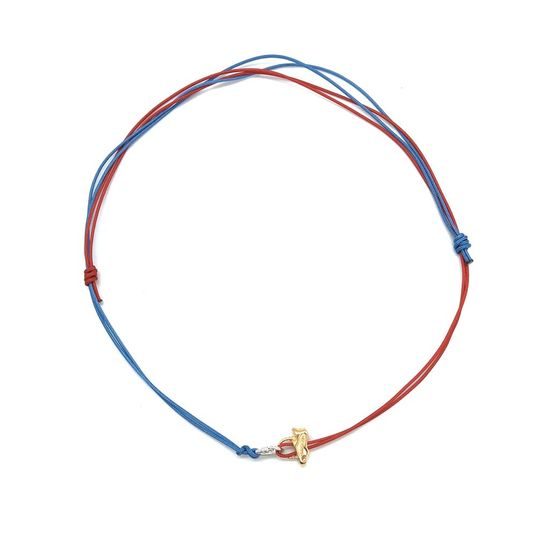 Přívěsek Sampaoli Reverso & Carabiner BR-GO-RH blue&red