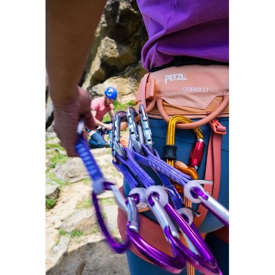 Dámský sedák Petzl Corax LT lilac white