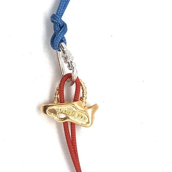 Přívěsek Sampaoli Reverso & Carabiner BR-GO-RH blue&red