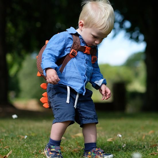 Dětský batůžek LittleLife Animal Toddler dinosaurus