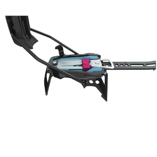 Mačky Blue Ice Griffin 12