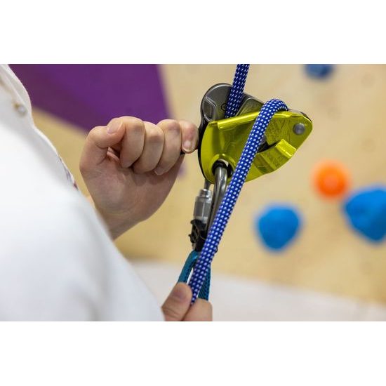 Jistící brzda Petzl GRIGRI+ zelená