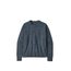 Dámský svetr Patagonia Recycled Wool-Blend Crewneck Sweater DPSU