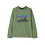 Juniorské triko Patagonia DR Graphic T- Shirt SKTN