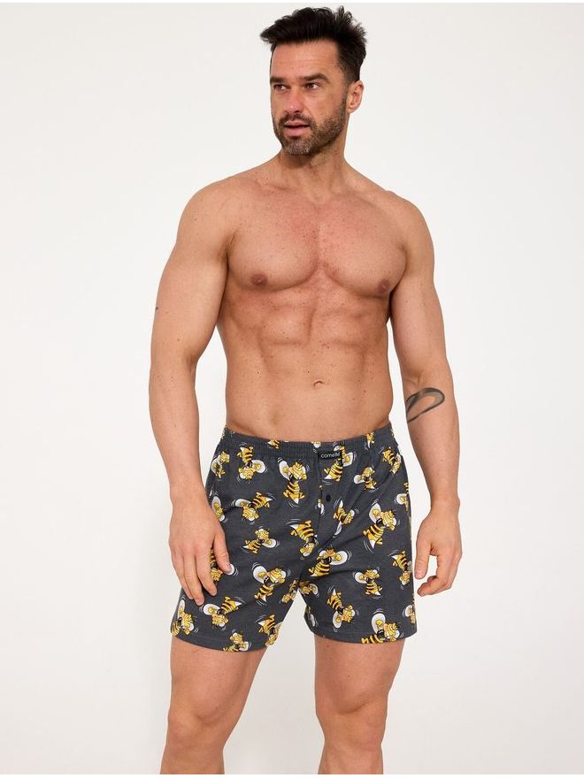 Trenýrky pánské Classic 011/187 Hornet 3XL-5XL - Cornette