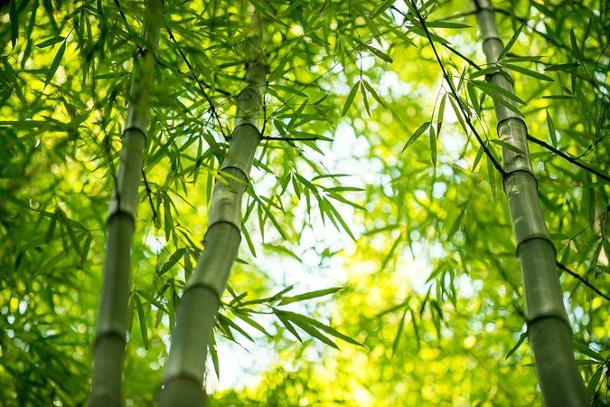 A bambuszrost előnyei