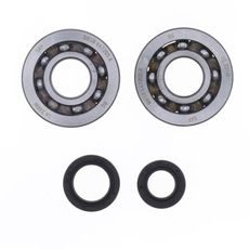 CRANKSHAFT REBUILDING KIT ATHENA P400420444001 (BEARING AND OIL SEAL KIT)
