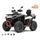 SEGWAY SNARLER AT6 L EPS LIMITED, E5+