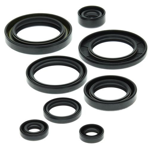 SADA GUFER MOTORU WINDEROSA 822149
