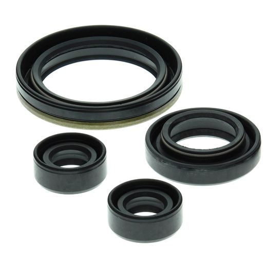 SADA GUFER MOTORU WINDEROSA 822150