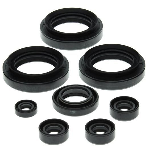 SADA GUFER MOTORU WINDEROSA 822152