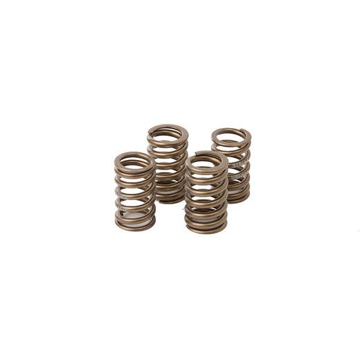 VALVE SPRING KIT HOT CAMS VSK1009