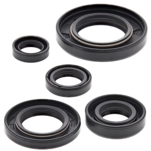 SADA GUFER MOTORU WINDEROSA 822165
