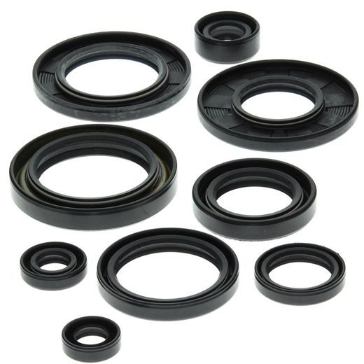 SADA GUFER MOTORU WINDEROSA 822148