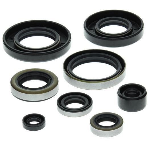 SADA GUFER MOTORU WINDEROSA 822159
