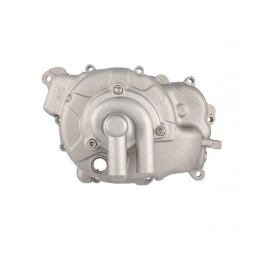 KOMPLETNÍ VODNÍ PUMPA RMS 100110610