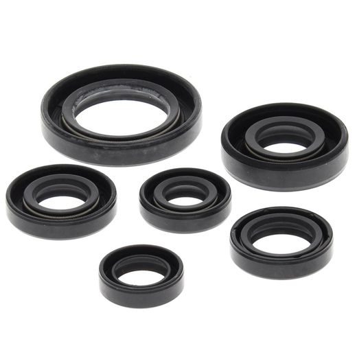 SADA GUFER MOTORU WINDEROSA 822146