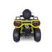 BLADE 1000 LTX MAX EPS 4X4 LIMITED (T3B)