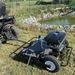 SHARK LAWN MOWER 117CM